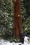 Yosemite