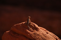 Valley of Fire