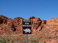 Valley of Fire