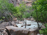 Zion