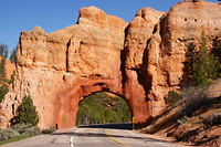 Bryce