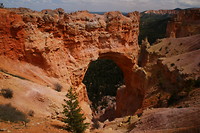 Bryce