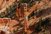 Bryce