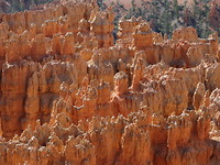 Bryce