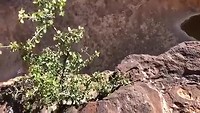 Capitol Reef