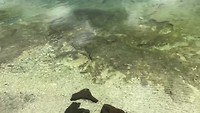 West Thumb Geyser Basin