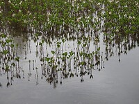 Lake Pielpajärvi