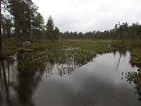 Lake Pielpajärvi