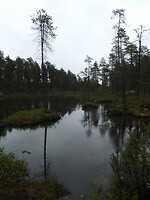 Lake Pielparjärvi