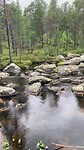 Lake Pielpajärvi