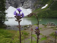 Stilleven bij de Nigardsbreen gletsjer