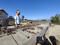 IMG_20230928_185547