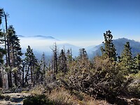 IMG_20231010_091403