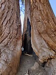 IMG_20231010_143623