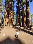 IMG_20231010_143253