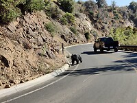 IMG_20231010_151038
