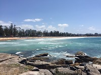 Manly beach