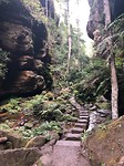 Blue Mountains