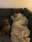 Bo komt bij van haar jetlag, Chef verliest haar geen seconde uit het oog