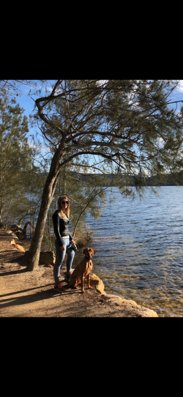 Narrabeen lagoon