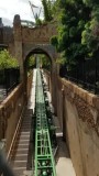 Cheetah Hunt in Busch Gardens
