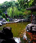 yu garden