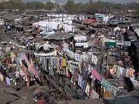 krottenwijk india