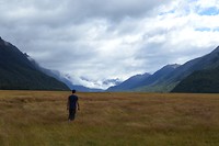 Onderweg naar Milford Sound