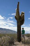 Cactus watergeven