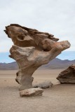 la piedra de arbol