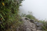 Misty Machu Picchu