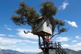 La casa del arbol