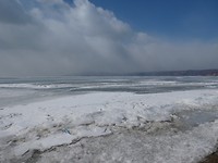 P1000566