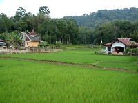 P1070237