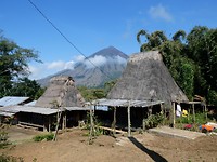 P1070337