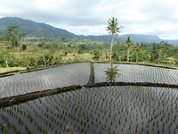 P1070764