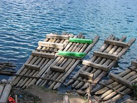 IMG_0903