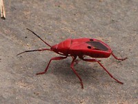 IMG_1211