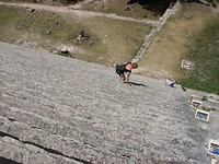IMG_1315