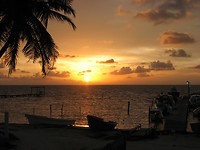 IMG_1453
