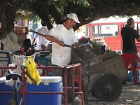 IMG_1962
