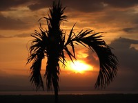 IMG_2048