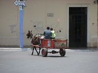IMG_2072
