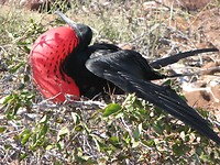 IMG_2782