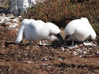 IMG_2800
