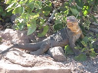 IMG_2824