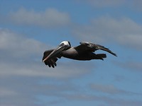 IMG_2834