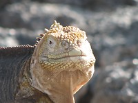 IMG_2877