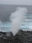 IMG_3032