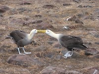 IMG_3061